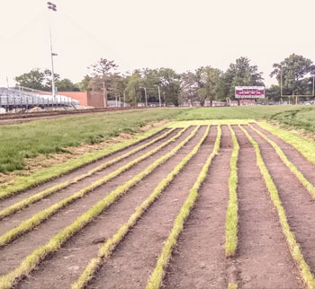 Buhler High School Case Study